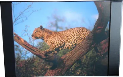 Produktbild von Schreibtischunterlage 68x44cm / mit Leopard
