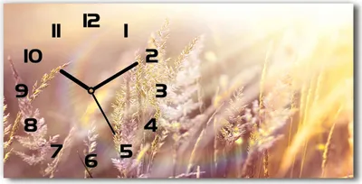 Produktbild von Wanduhr aus Glas – 60x30 cm - Glasbild - Glasuhr - Gehärtetes Glas - schwarze-zeiger - Hohes Gras