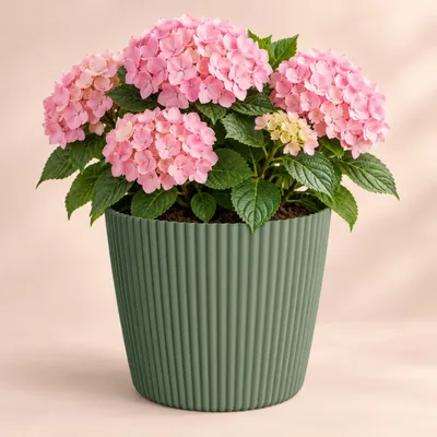 Productafbeelding van Prosperplast plantenpot Buckingham - dennenbruin - diameter 17 cm