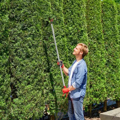 Produktbild von 1,2 m Baumschere, Astschere mit Aluminiumgriff, Langstielige Gartenschere Rot, Gartenschneider für hohe Äste