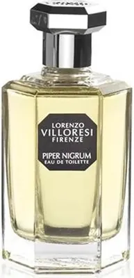 Obrázek produktu pro Lorenzo Villoresi Firenze Piper Nigrum EDT 100 ml ( Unisex)