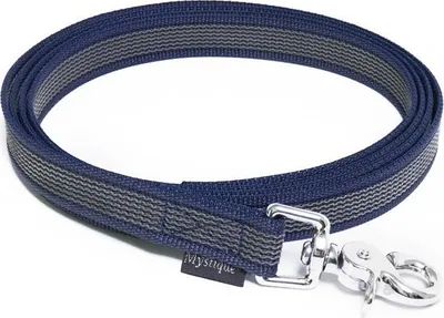 Produktbild von Mystique® Gummierte Leine 20mm ohne Handschlaufe Scherenkarabinerhaken royal blau 1m