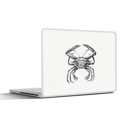 Produktbild von MuchoWow® Laptop Aufkleber Sticker Cover Ernst Haeckel - Jahrgang - Kunst - Krabbe 32.5x23.5 cm - Sticker für Laptop - Selbstklebend