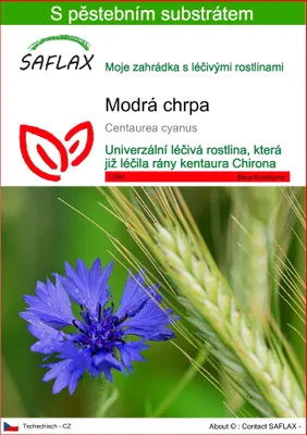 Obrázek produktu pro SAFLAX - Modrá chrpa - Centaurea cyanus - 27000 Semena - S pěstebním substrátem bez klíčků