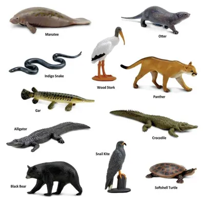 Image de Safari Ltd 103648 Everglades (11 figurines) Thème