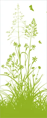 Produktbild von Wallario Poster - Grüne Sommerwiese, Kunstdruck Größe: 50 x 125 cm