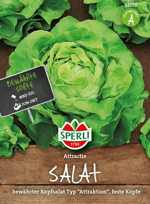 Immagine prodotto di Lattuga Attractie | Semi di lattuga di Sperli