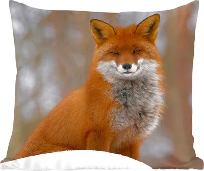Produktbild von MuchoWow® Zierkissen Sofakissen Wohnzimmer Dekokissen 40x40 cm Fuchs - Wald - Rot - Foto Kissen - Schlafzimmer Dekoration