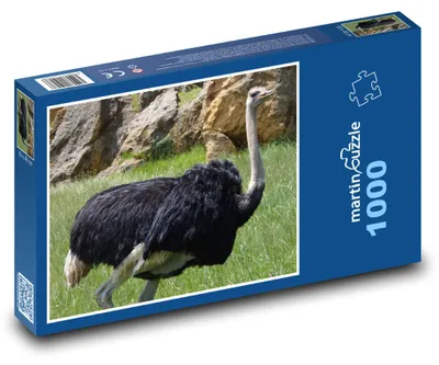 Obrázok produktu pre Puzzle 1000 Pštros na lúke - martinpuzzle