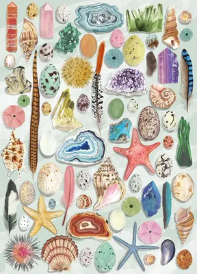 Immagine prodotto di GIBSONS Puzzle: L'origine delle curiosità – 1000 pezzi