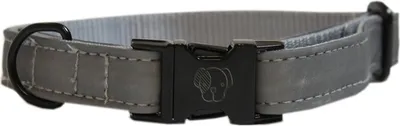 Produktbild von Kentucky Dogwear Hundehalsband reflektierend