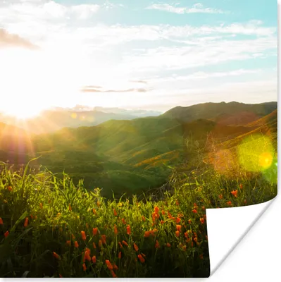 Produktbild von MuchoWow® Poster Hügel - Sonnenuntergang - Gras - Grün 75x75 cm - Wand Dekoration