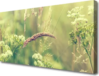 Produktbild von Tulup Leinwand-Bilder 100x50 Wandbild Canvas Kunstdruck Wildpflanzen Pflanzen