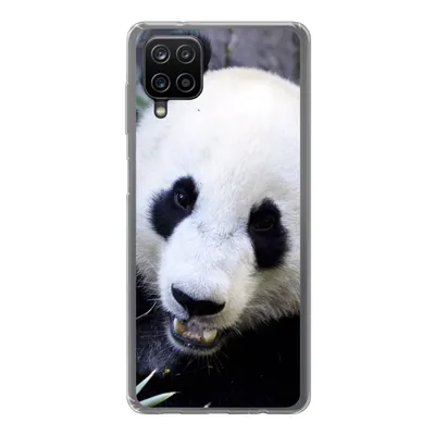 Produktbild von MuchoWow® Handyhülle Schutzhülle Hülle für Samsung Galaxy A12 Panda - Tier - Blätter Silikon Softcase Handy Hülle - Bild