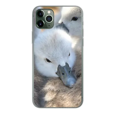 Produktbild von MuchoWow® Handyhülle Schutzhülle Hülle für iPhone 11 Pro Max Schwäne - Licht - Küken Silikon Softcase Handy Hülle - Schutz