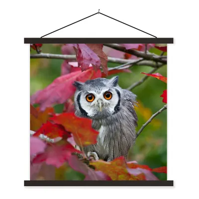 Produktbild von MuchoWow® Textilposter Eule - Vogel - Laub - Herbst 120x120 cm mit schwarzem Rahmen - Aufhängungsset