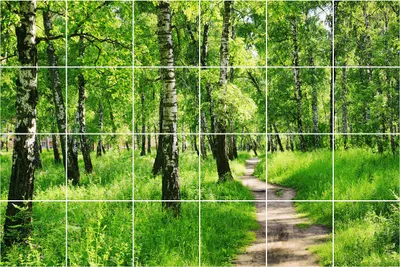 Produktbild von Fliesenaufkleber 15x15 cm – 24 Stück – Selbstklebend – Wasserfest – Pflegeleicht – Hitzebeständig – Für Küche & Bad – Waldweg in der Natur