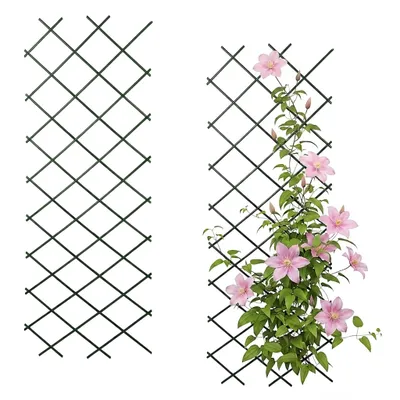 Produktbild von Pflanzenkletterhilfe ca. 100x200 cm in grün - 2er Set - Rankgitter