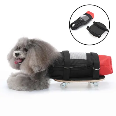 Immagine prodotto di ZELURXX Borsa da trasporto per animali paralizzati, con ruota universale, per cani e gatti disabili, ausilio per la deambulazione, protegge il torace e gli arti, taglia L