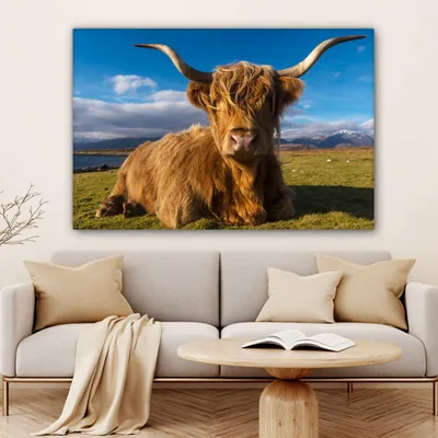 Produktbild von OneMillionCanvasses® - Leinwandbilder - 140x90 cm, Schottische Hochlandrind - Tiere - Gras, Wandbilder Kunstdruck Wanddekoration