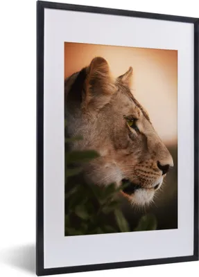 Produktbild von MuchoWow® MuchoWow® Gerahmtes Poster Löwe - Dschungel - Orange 40x60 cm - Poster mit zchwarzem Bilderrahmen - Poster in Rahmen
