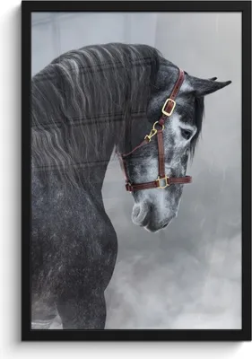 Produktbild von MuchoWow® MuchoWow® Gerahmtes Poster Pferd - Grau - Braun - Tiere - Rauch 40x60 cm - Poster mit zchwarzem Bilderrahmen - Papierdruck - Wandbilder
