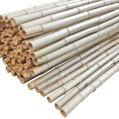 Produktbild von Sichtschutz Bambusmatte exklusiv 1,8x1,8m hell