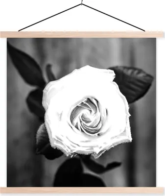 Produktbild von MuchoWow® Textilposter Rose - Blumen - Blätter - Schwarz - Weiß 40x40 cm mit holzfarbenen Rahmen - Posterleiste