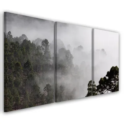 Produktbild von Triptychon auf leinwand schwarz-weiße landschaften 60x40 cm Feeby grau wandbild bereit zum aufhängen