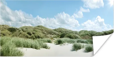 Produktbild von MuchoWow® Poster Strand - Düne - Gras 150x75 cm - ohne Rahmen