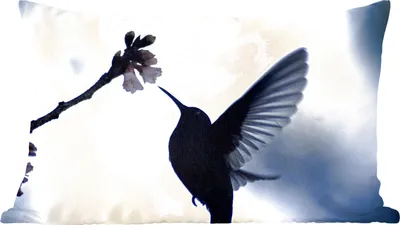 Produktbild von MuchoWow® Zierkissen Sofakissen Wohnzimmer Dekokissen 50x30 cm Vogel - Kolibri - Scherenschnitt - Wohnzimmerdekoration - Polster mit Photo