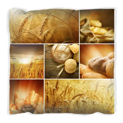 Produktbild von Wallario Premium Kissen, weiche Oberfläche, mit Motiv Getreide und Brotsorten aus Weizen, Größe: 40 x 40 cm, mit weißer Rückseite