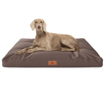 Produktbild von Knuffelwuff Hundekissen Gatsby aus Oxford-Gewebe 75x50cm Braun