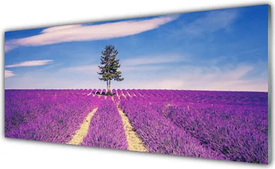 Produktbild von Acrylglasbilder 125x50 Wandbild Druck Wiese Baum Landschaft