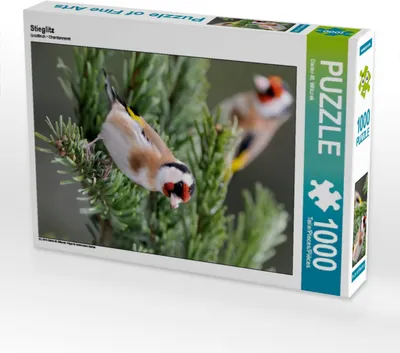 Produktbild von Calvendo Stieglitz 1000 Teile Puzzle hoch 480x640mm, Wilczek Dieter-M.; 7319204