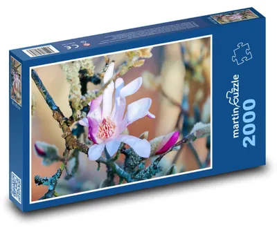 Obrázok produktu pre martinpuzzle - Puzzle 2000 - Kvet magnólie