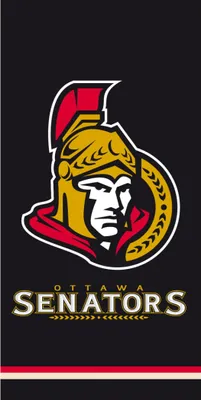 Produktbild von NHL Ottawa Senators Handtuch Schwarz