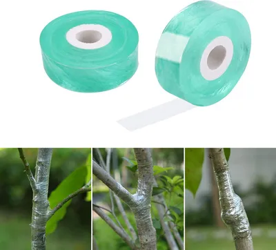 Produktbild von Pfropfband, 2 Stück, 100 m Pfropfbänder, biologisch abbaubares, selbstklebendes, dehnbares Pfropfband für Baumschulen, sicheres und umweltfreundliches Pfropfband (grün)