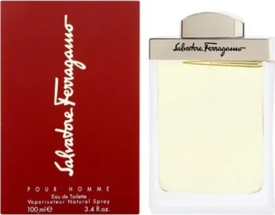 Obrázek produktu pro Pour Homme - toaletní voda s rozprašovačem, 100 ml