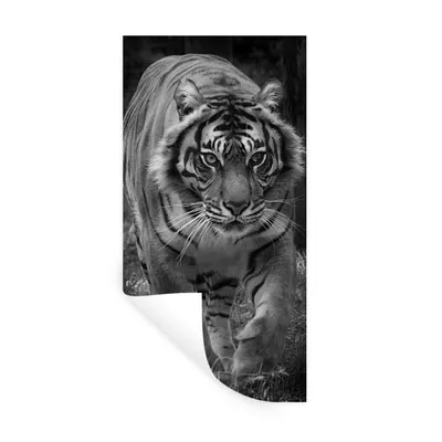 Produktbild von MuchoWow® Wandtattoo Wandsticker Wandaufkleber Tiger - Gras - Wilde Tiere 60x120 cm Selbstklebend und Repositionierbar - Selbstklebend - Fototapeten