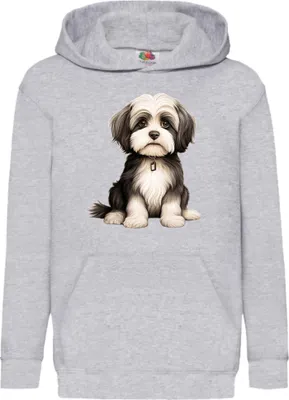 Obrázok produktu pre Detská Mikina S Kapucňou Dogs Breeds Havanese Dog Breed 006, 9-11 Jahr - 140 / Heather šedá