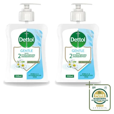 Productafbeelding van 2 x Dettol Handzeep Gentle - Kamille & Katoenbloem - 250 ml - Voordeelverpakking - 2 stuks