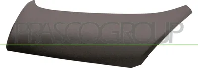 Produktbild von PRASCO KI3303100 Motorhaube für KIA VENGA (YN)