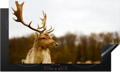 Produktbild von KitchenYeah© Herdabdeckplatte Damhirsch - Wald - Herde - Tiere - Natur , 91x52cm, Küche Deko, Glaskeramikkochfeld Herdabdeckung, Abdeckplatte fùr Kochfeld