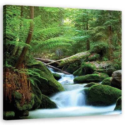 Produktbild von Leinwandbild landschaften - grün 60x60 cm Feeby grün wandbild bereit zum aufhängen