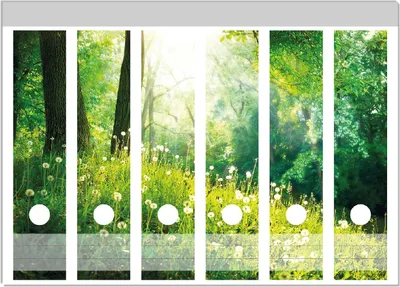 Produktbild von Wallario Ordnerrücken Sticker, selbstklebend für breite Ordner, 6 Stück, Motiv Pusteblumen im Wald mit einfallenden Sonnenstrahlen
