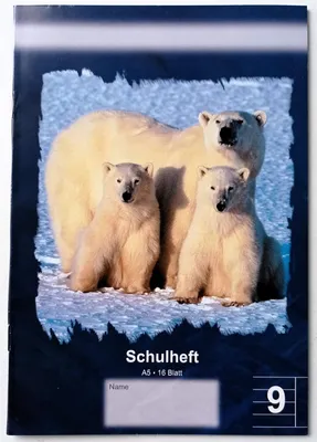 Produktbild von Schulheft Lineatur 9 Liniert mit Rand DIN A5 16 Blatt HGG 10970572