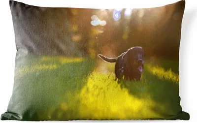 Produktbild von MuchoWow® Outdoor Kissen - Schöne Sonnenstrahlen über einem schwarzen Welpen - 60x40 cm - Wetterfest - Lounge Kissen - Zierkissen - Kissen für Innenräume
