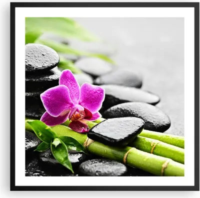 Produktbild von Gerahmtes Poster - Schwarzer Rahmen - Pflanze Steine Bambus Spa - 60x60 cm - Wand Bild - Wanddeko - Wandbilder - Wandposter - Bilderrahmen - Bilder - Kunstdruck - Wandbild - P2BAC60x60-2681