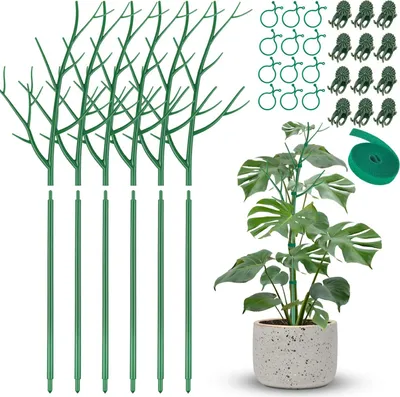 Produktbild von Halbdrillinge Pflanzstangen-Set mit 6 Stangen - witterungsbeständige Pflanzstangen - 12 Orchideenhalter - 12 runde Halter - 6 Fuß Pflanzband - Kletterpflanzen - Weinreben Pflanzstangenhalter